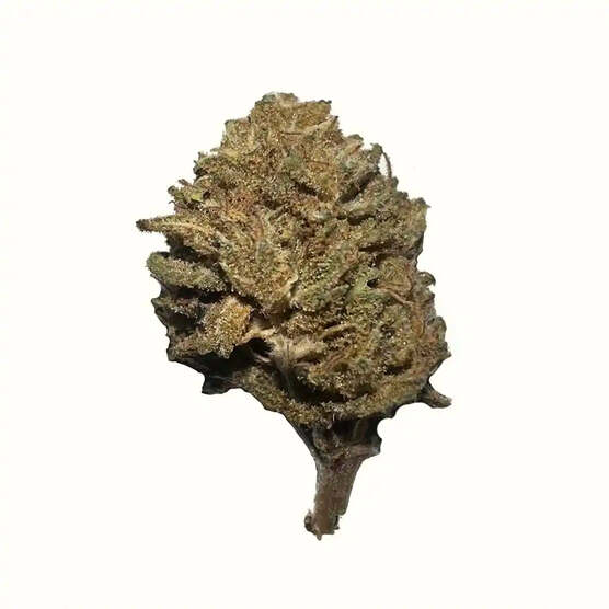 Cogollos Pequeños de Flor Aromática de CBD al 5,89% - La Cordobesa California Fruit - ProfesorCBD - WeWeed