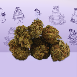 Wedding Cake Small Buds - Mama Kana - WeWeed