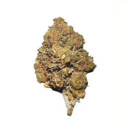 Cogollos Pequeños de Flor Aromática de CBD al 12,39% - La Cordobesa Cookie Diesel - ProfesorCBD - WeWeed