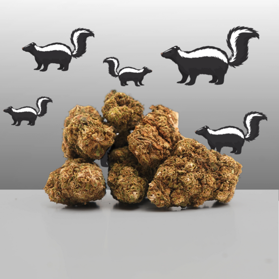 Super Skunk CBD 🦨 [Greenhouse] - Mama Kana - WeWeed