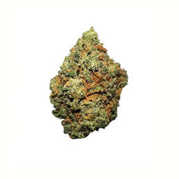 Cogollos Pequeños de Flor Aromática de CBD al 5,17% - La Cordobesa Harlequin - ProfesorCBD - WeWeed