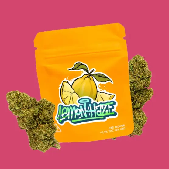 LEMON HAZE CBD | FLORES DE CBD OUTDOOR - Gorilla Grillz - WeWeed