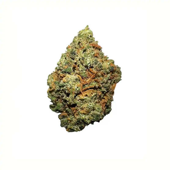 Cogollos Pequeños de Flor Aromática de CBD al 5,17% - La Cordobesa Harlequin - ProfesorCBD - WeWeed