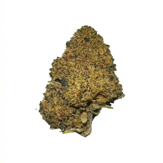 Cogollos Pequeños de Flor Aromática de CBD al 3,15% - La Cordobesa Sour Diesel - ProfesorCBD - WeWeed