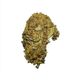Cogollos Pequeños de Flor Aromática de CBD al 15,47% - La Cordobesa White Widow - ProfesorCBD - WeWeed