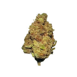 Cogollos Pequeños de Flor Aromática de CBD al 16,45% - La Cordobesa Cheese OG - ProfesorCBD - WeWeed