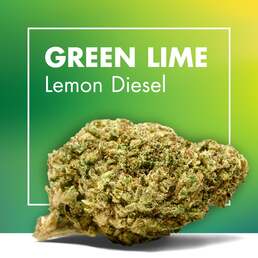 Flores CBD GREEN LIME (Lemon Diesel) - Cannactiva - WeWeed