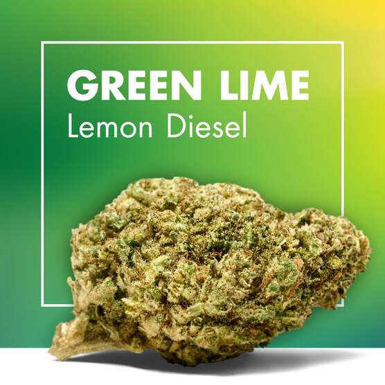 Flores CBD GREEN LIME (Lemon Diesel) - Cannactiva - WeWeed