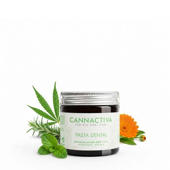 Pasta de dientes con CBD – 75ml - Cannactiva - WeWeed