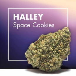 Flores CBD HALLEY (Space Cookies CBD) - Cannactiva - WeWeed