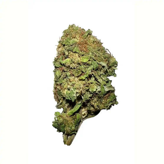Cogollos Pequeños de Flor Aromática al 10,28% de CBD - La Cordobesa Strawberry Indoor - ProfesorCBD - WeWeed