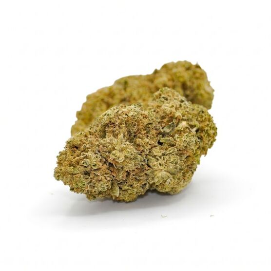 Cogollos Gelato CBD - CBD Organics - WeWeed