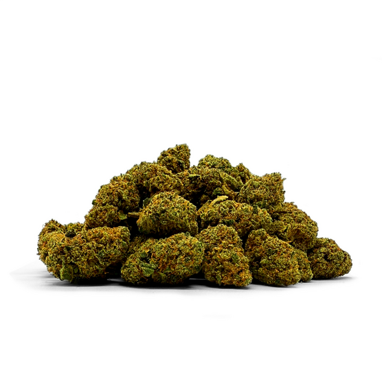 REINA CATALANA CBD SMALL - La Catalana CBD - WeWeed