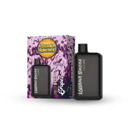 Vaper CBD – Iguana Pod Pocket CBD Grape 3ml - Iguana Smoke CBD - WeWeed