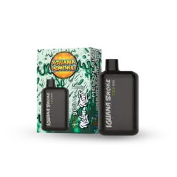 Vaper CBD – Iguana Pod Pocket CBD Melon Mint 3ml - Iguana Smoke CBD - WeWeed