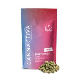 Mini Cogollos CBD Premium | Small Buds de Cannactiva - Cannactiva - WeWeed