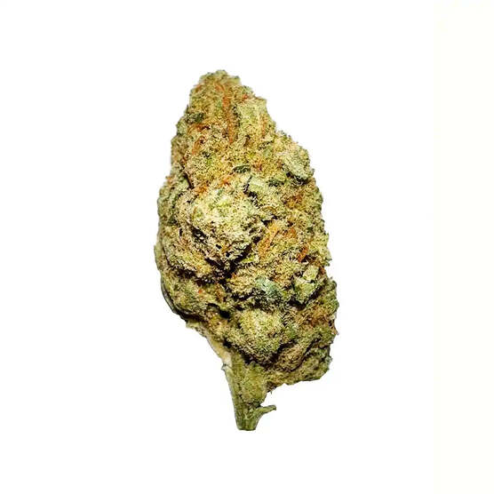 Cogollos Pequeños Plus de Flor Aromática de CBD al 15,80% - La Cordobesa Amnesia Hydroponic - ProfesorCBD - WeWeed