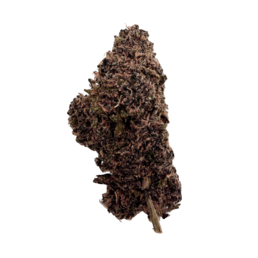 Pink Lady - Flower Farm - WeWeed