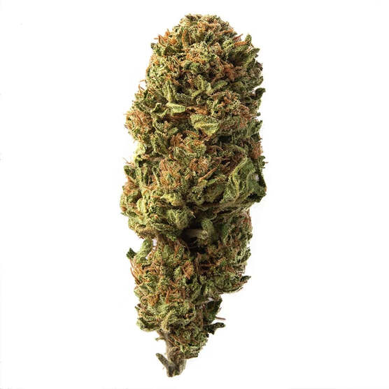 Cogollo de Flor Aromática de CBD al 4,23% · La Generosa Tradicional - ProfesorCBD - WeWeed