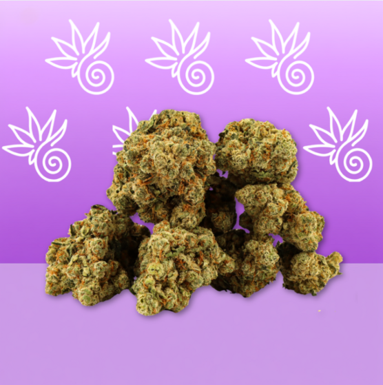 Amnesia CBD 🌌 [Hidroponía] - Mama Kana - WeWeed