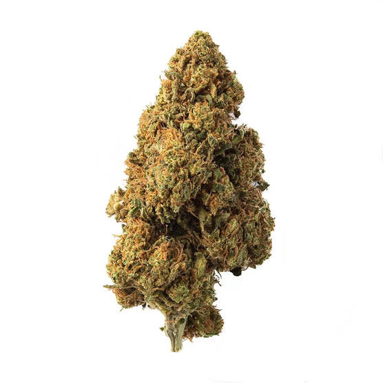 Cogollo de Flor Aromática de CBD al 15,22% · La Cordobesa Limonera - ProfesorCBD - WeWeed