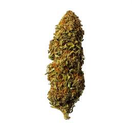 Cogollo de Flor de CBG 8% · La Cordobesa Cannabigerol - ProfesorCBD - WeWeed