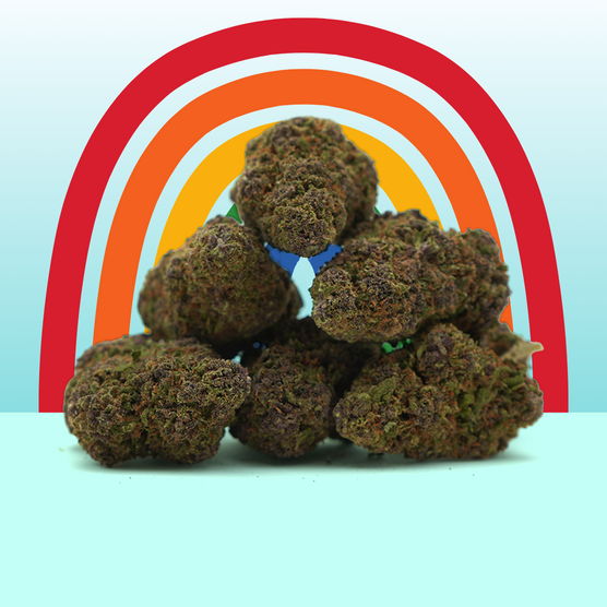 Rainbow Runtz CBD 🌈 [Indoor] - Mama Kana - WeWeed
