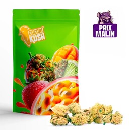 SMALL BUD FRUTTI CBD INDOOR - CocoriKush - WeWeed
