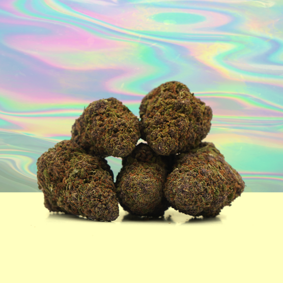 Sour Diesel CBD ⛽ [Greenhouse] - Mama Kana - WeWeed