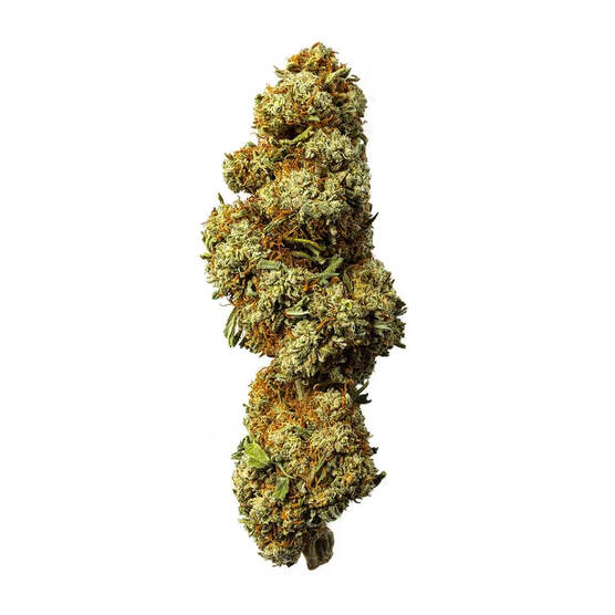 Cogollo de Flor Aromática de CBD al 16,30% · La Cordobesa Legal · CL13 - ProfesorCBD - WeWeed