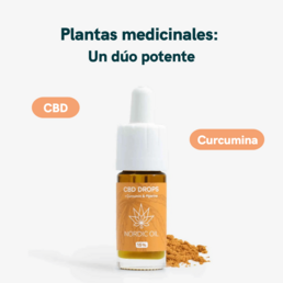 Aceite para el dolor con CBD - Nordic Oil - WeWeed