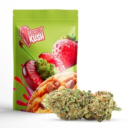 GMO COOKIES CBD - CocoriKush - WeWeed