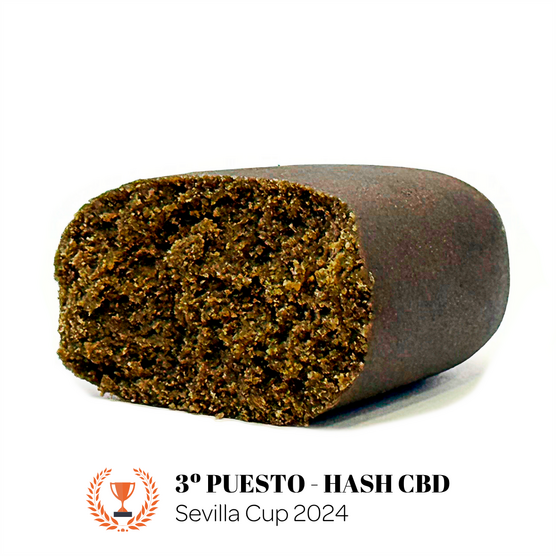 CASABLANCA CBD - La Catalana CBD - WeWeed