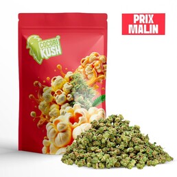 POP CORN FLEUR CBD MINI BUD - CocoriKush - WeWeed