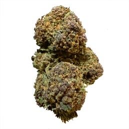 Cogollo de Flor Aromática de CBD al 14,87% · La Cordobesa Naranjita 10g - ProfesorCBD - WeWeed