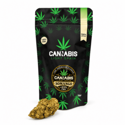 SOMANGO GREENHOUSE - Cannabis Light Spain - WeWeed