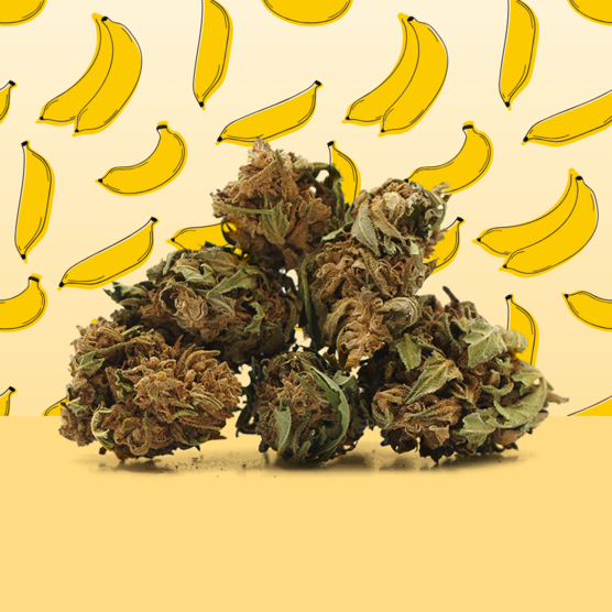 Plátano CBG Small Buds 🍌 - Mama Kana - WeWeed