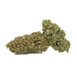 MOBY DICK GOLD INDOOR - Cannabis Light Spain - WeWeed