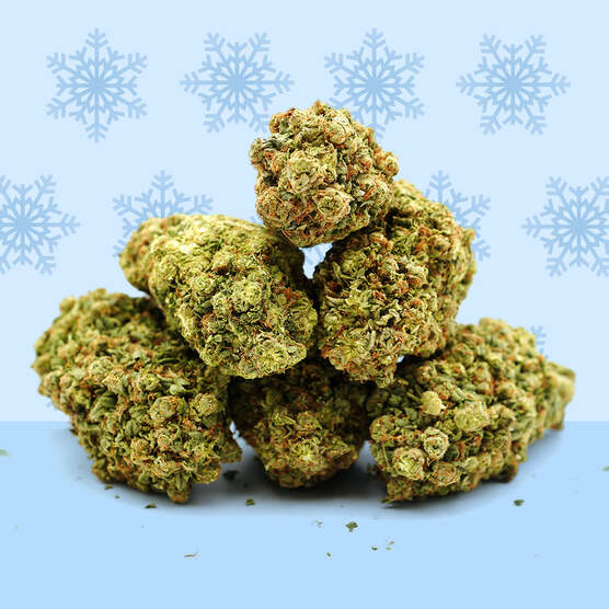 Congelado ❄️ [Hidroponía] - Mama Kana - WeWeed