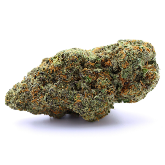 SUPER CANDY (American Genetics) - Stormrock - WeWeed