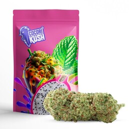 EXOTIC HAZE CBD - CocoriKush - WeWeed