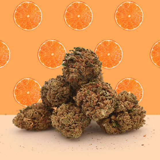 Orange Bud CBD Small Buds 🍊 - Mama Kana - WeWeed