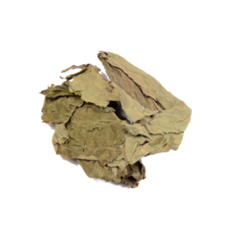 Salvia Divinorum - Sweed - WeWeed
