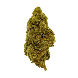 Cogollo de Flor Aromática de CBD al 9,80% · La Cordobesa Colchonera - ProfesorCBD - WeWeed