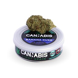 BANANA KUSH HIDROPÓNICA - Cannabis Light Spain - WeWeed