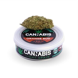 ORANGE BUD HIDROPÓNICA - Cannabis Light Spain - WeWeed