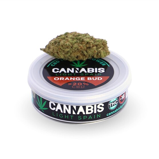 ORANGE BUD HIDROPÓNICA - Cannabis Light Spain - WeWeed
