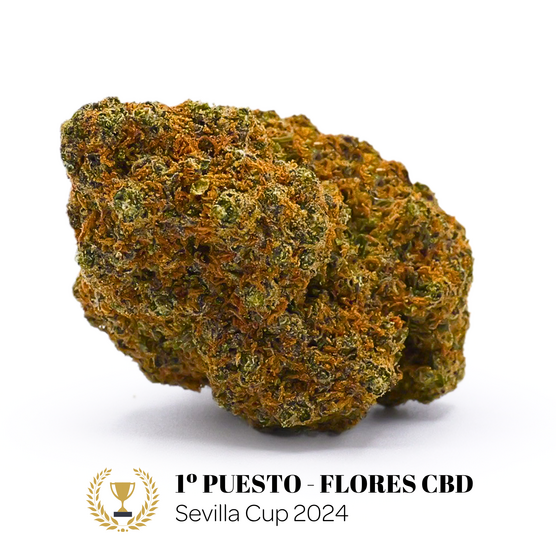 RED FRUIT CBD - La Catalana CBD - WeWeed