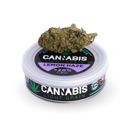 LEMON HAZE HIDROPÓNICA - Cannabis Light Spain - WeWeed