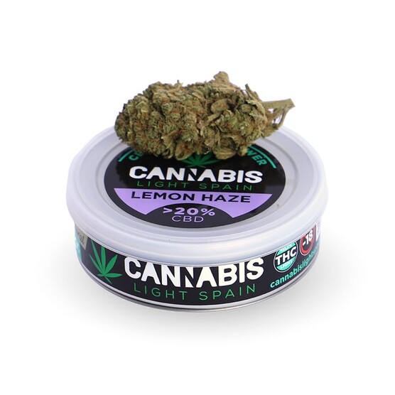 LEMON HAZE HIDROPÓNICA - Cannabis Light Spain - WeWeed
